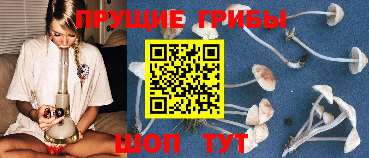 Сосновый Бор  Псилоцибиновые грибы GOLDEN TEACHER  Вход с VPN  Галлюциногенные грибы MAGIC MUSHROOMS 